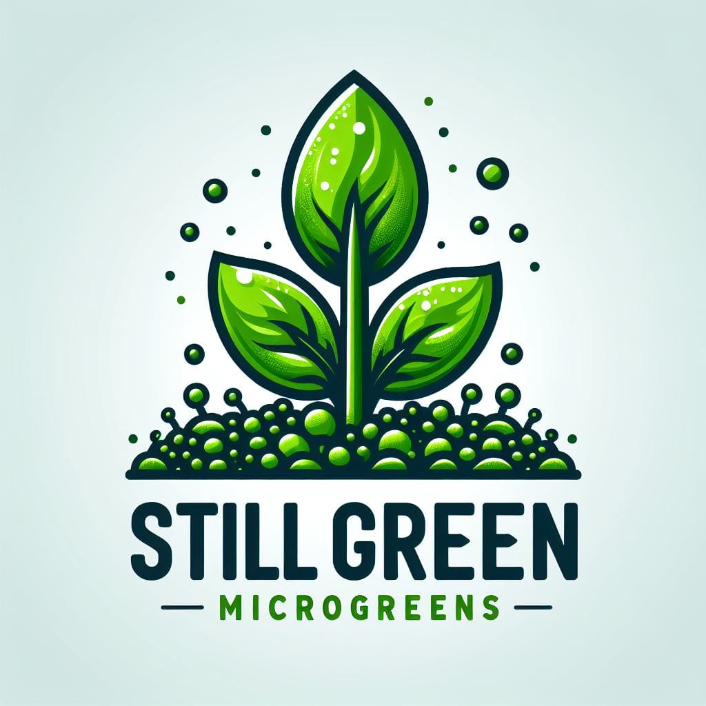 WhatsApp Image 2024-04-24 10.05.27